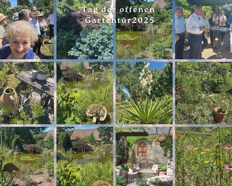 Der letzte Sonntag im Juni steht auch in diesem Jahr wieder ganz im Zeichen der Gartenliebhaberinnen und –liebhaber. Ein naturbelassener Garten voller Blüten soweit das Auge reicht, mit Teich und einem hohen Maß an Artenvielfalt ist schon etwas ganz besonderes. Hier einige Impressionen.
Fotos: Petra Guttenberger
